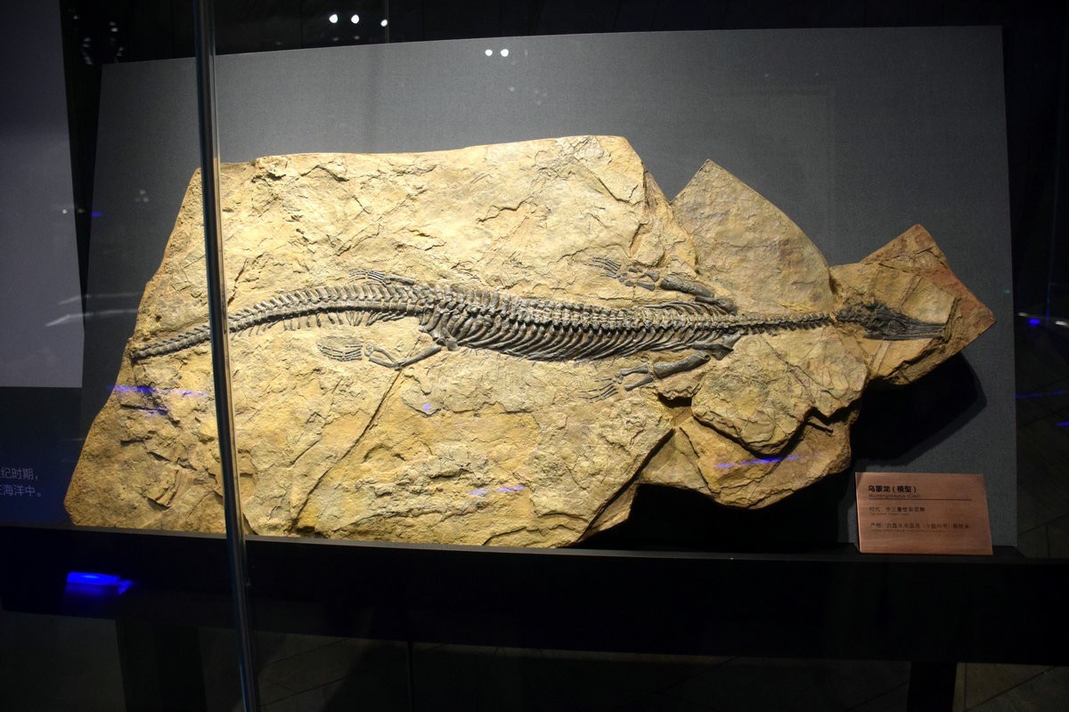 2023夏 黔赣鄂渝川（16）贵州省博物馆