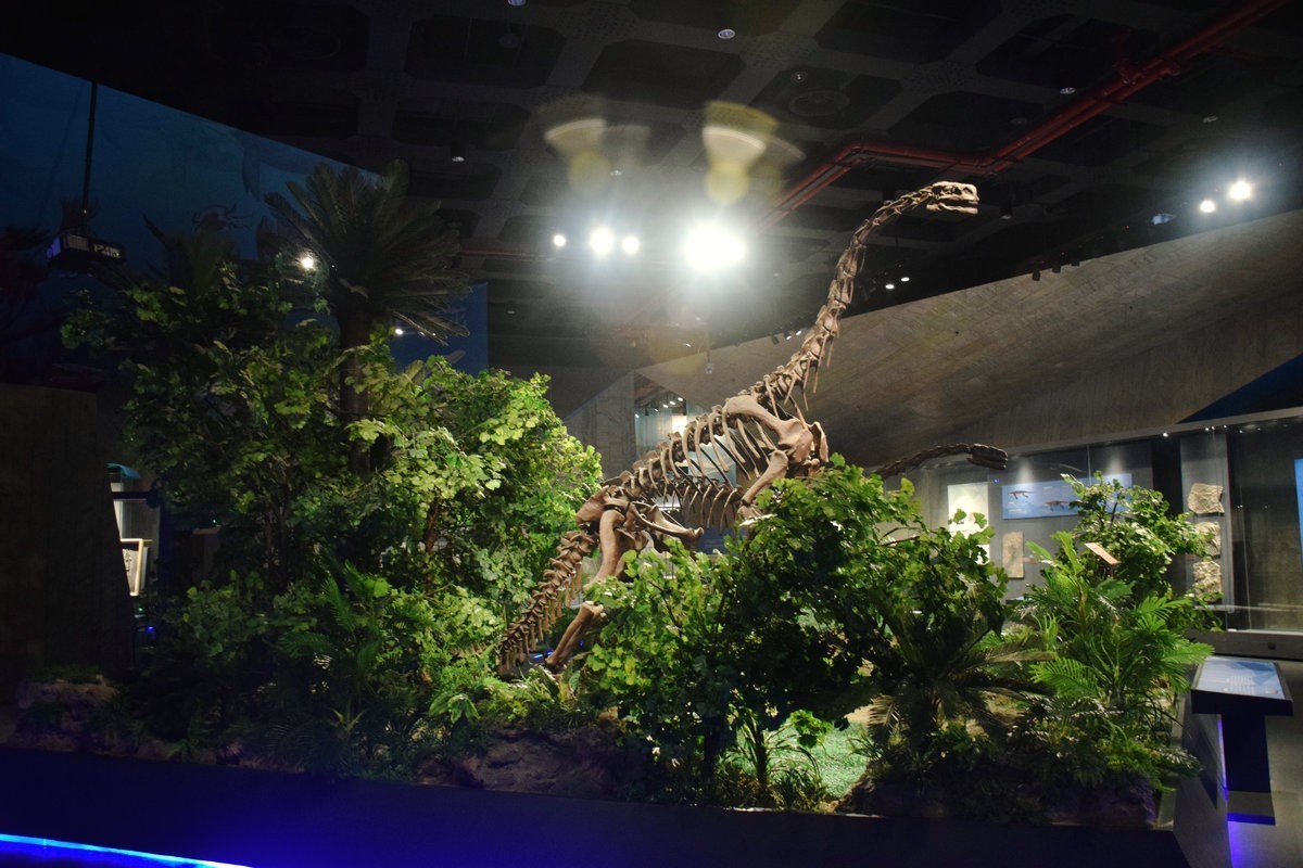 2023夏 黔赣鄂渝川（16）贵州省博物馆