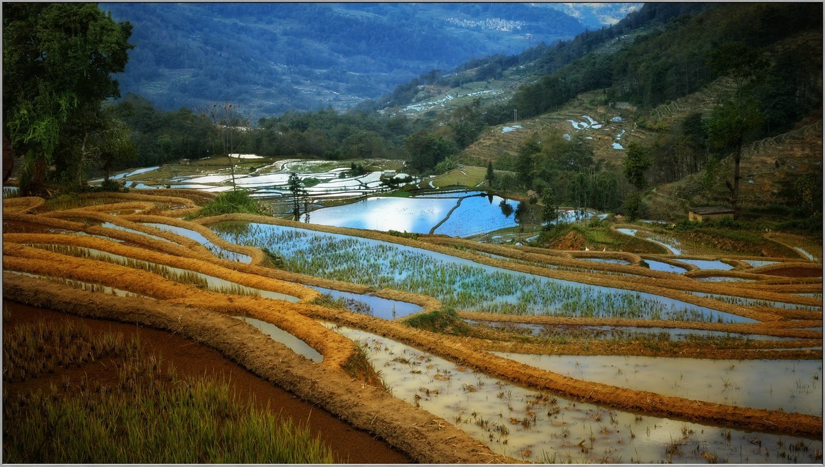 云南梯田小记