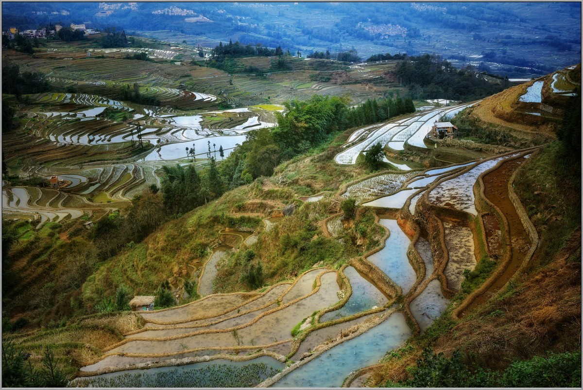云南梯田小记