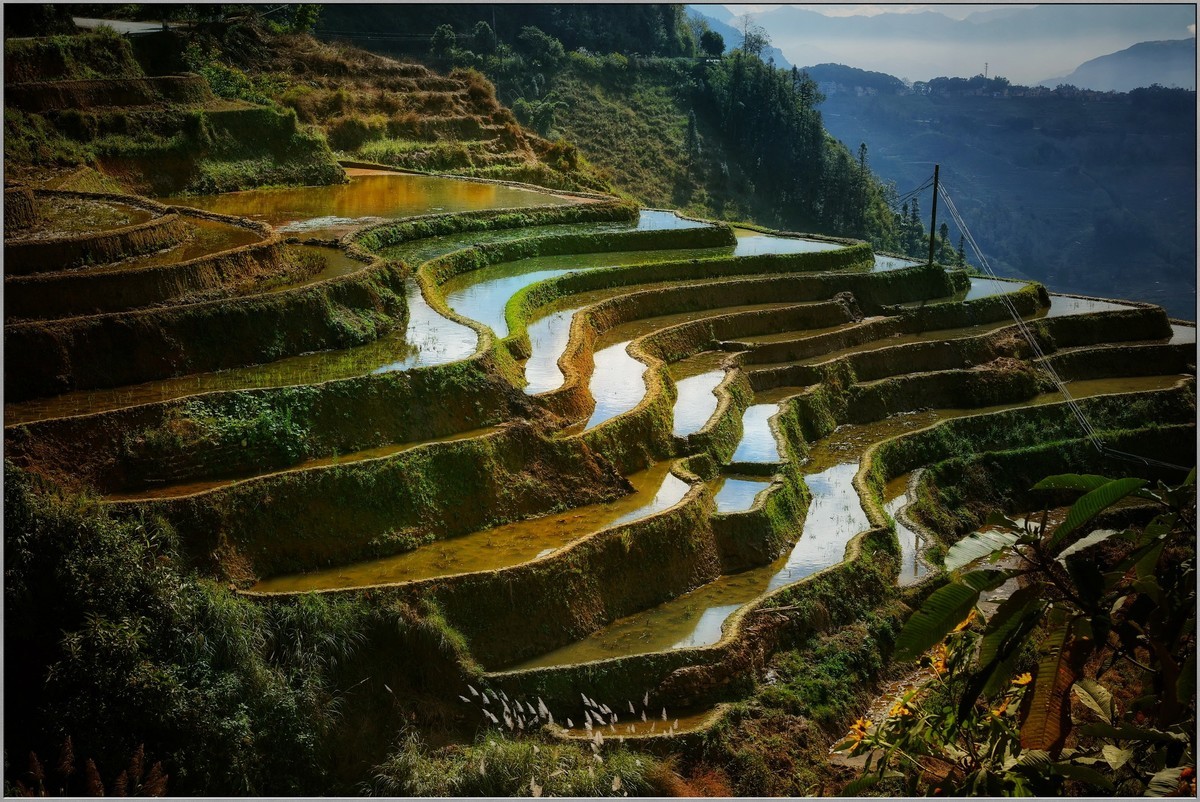 云南梯田小记