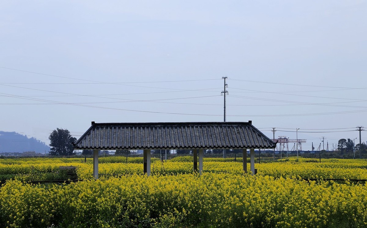 洞头大门岛岙底村(2)
