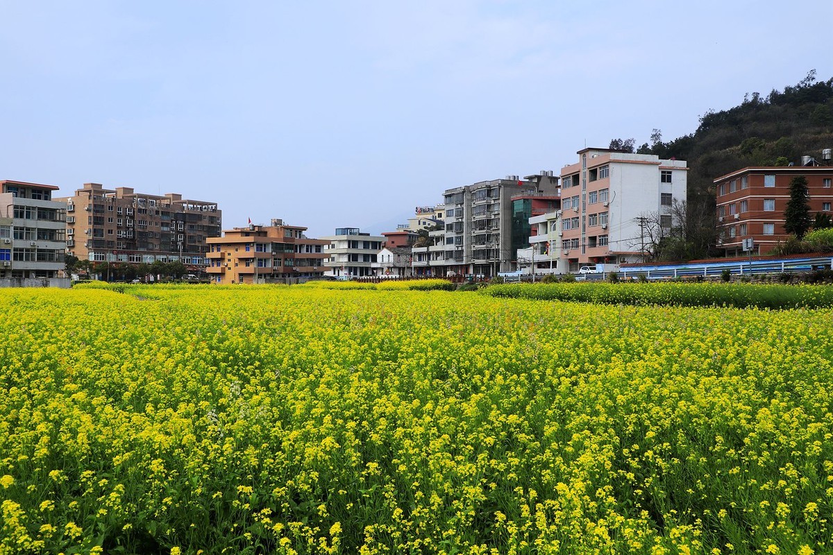 洞头大门岛岙底村(2)