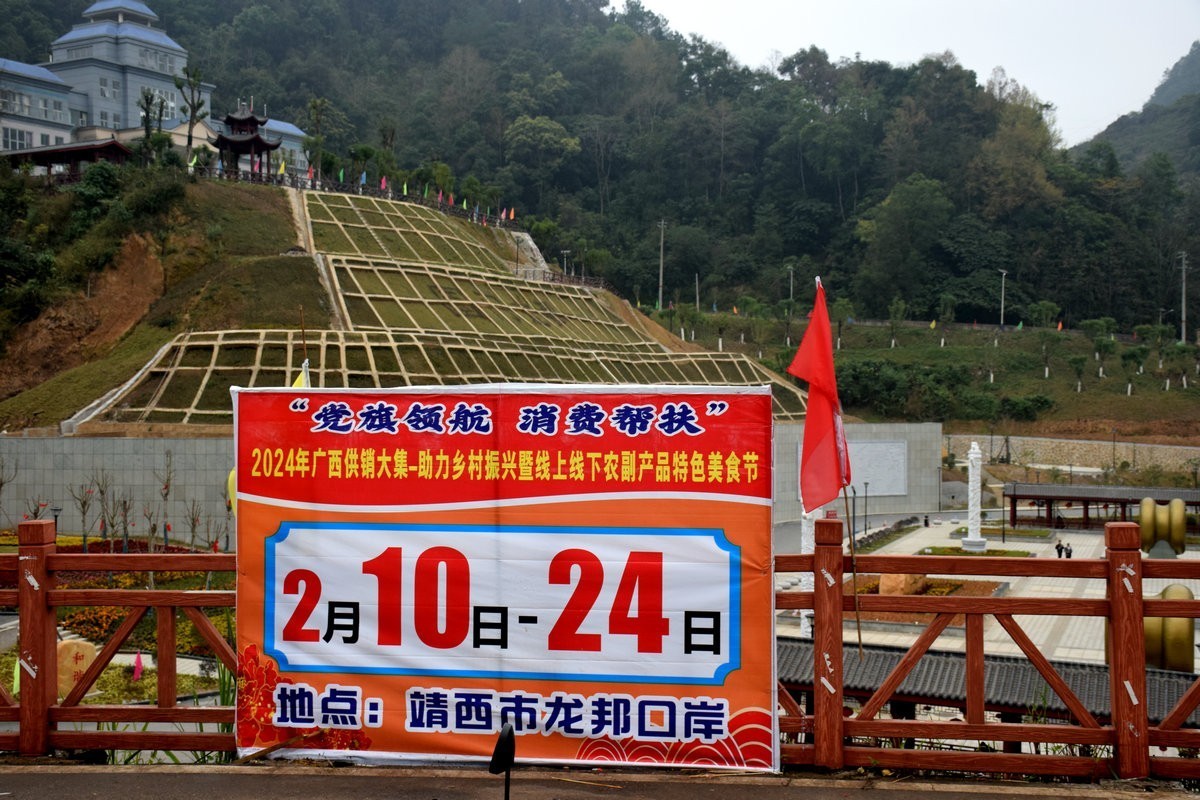 2024春节 滇桂沿边行（75）龙邦东盟商品交易会