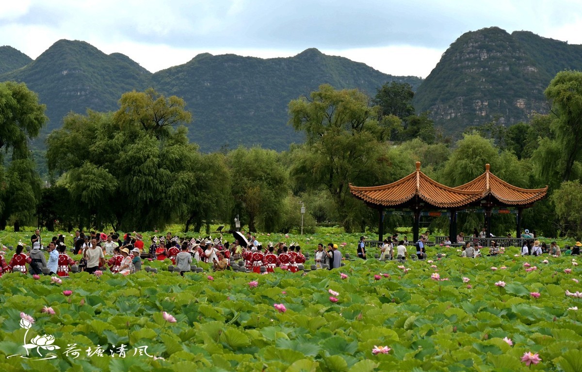 加油之城，美美安龙。第九届荷花节，民族文化巡游活动。
