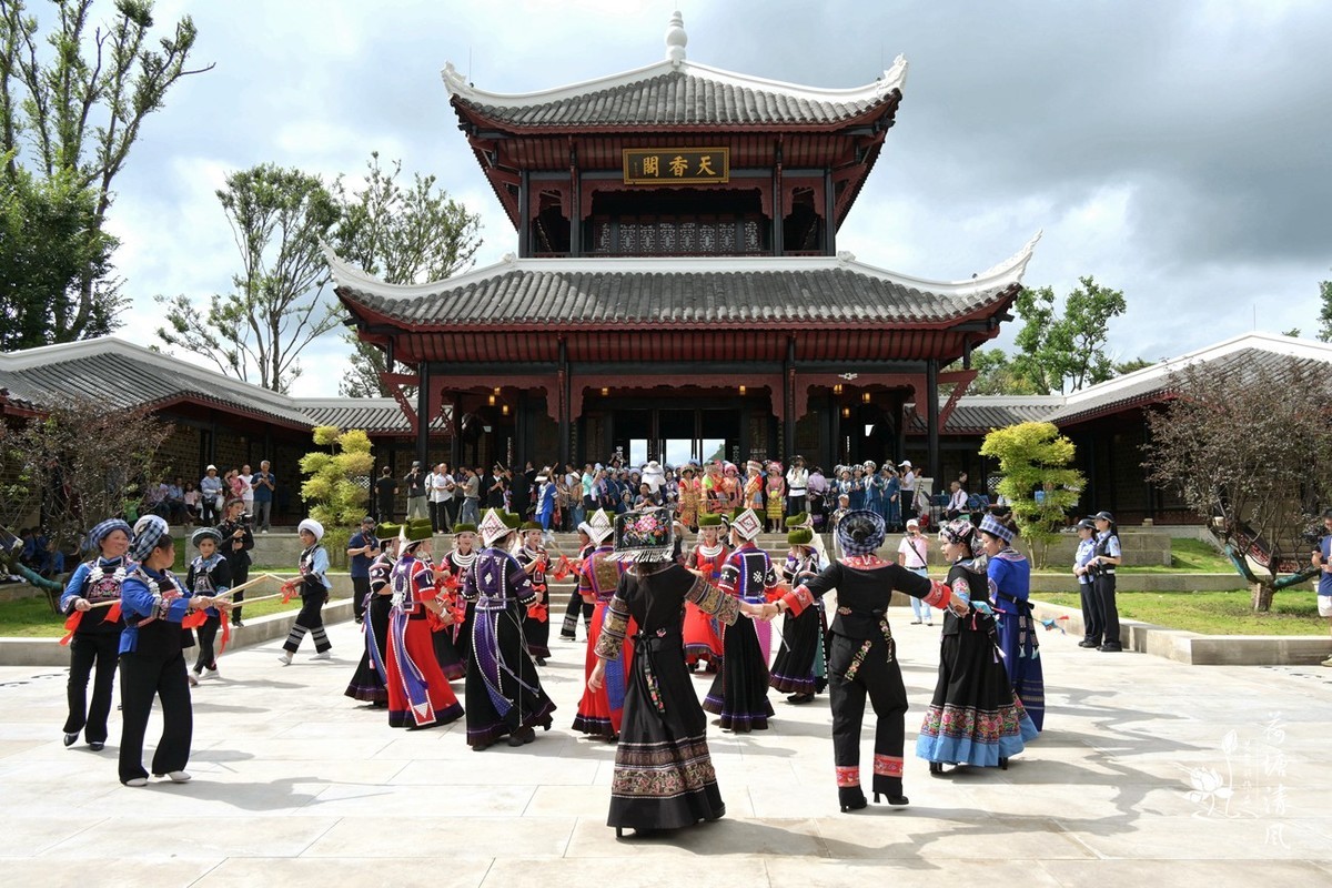 加油之城，美美安龙。第九届荷花节，民族文化巡游活动。