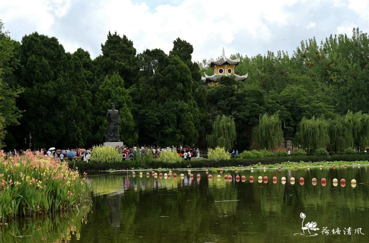 加油之城，美美安龙。第九届荷花节，民族文化巡游活动。