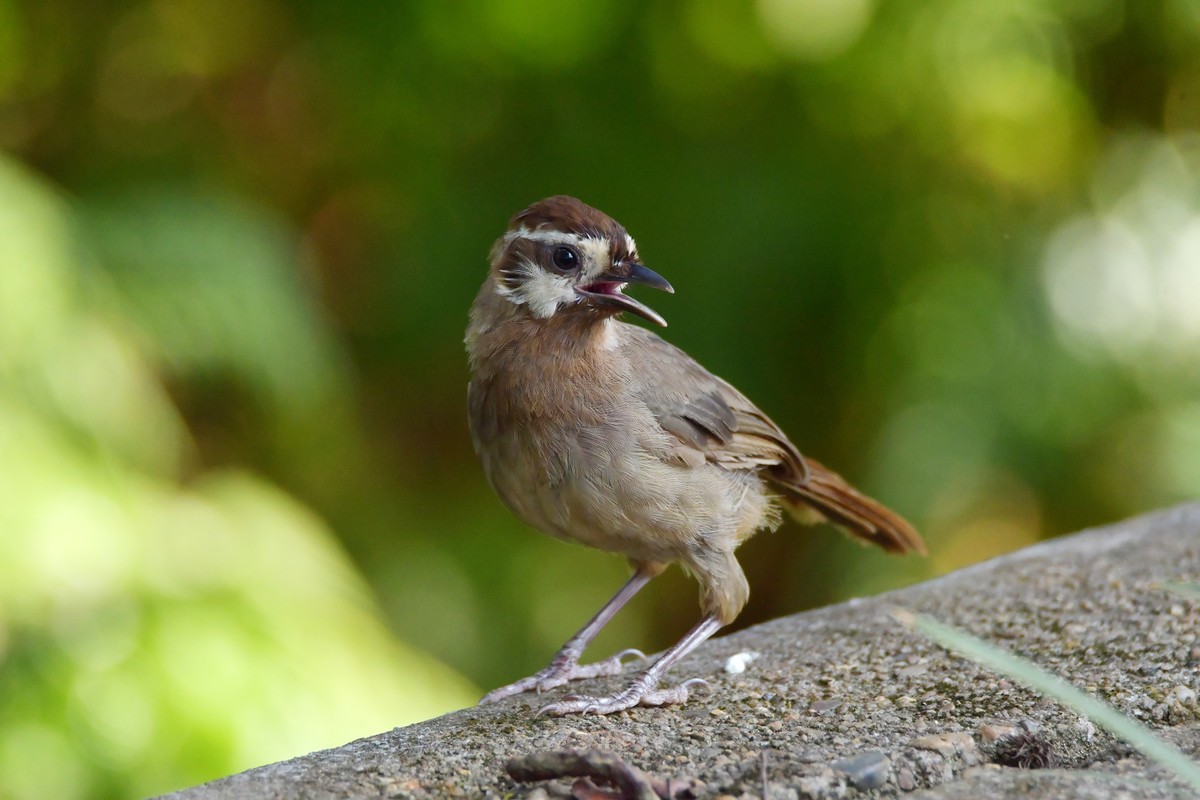 继续上次没发出去的照片