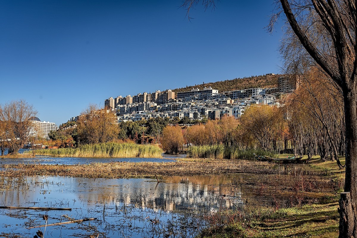 洱海玉白菜湿地（2）