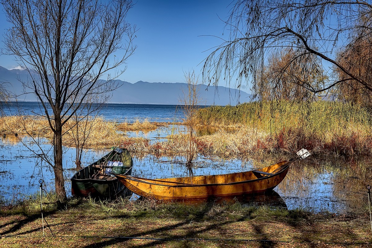 洱海玉白菜湿地（2）