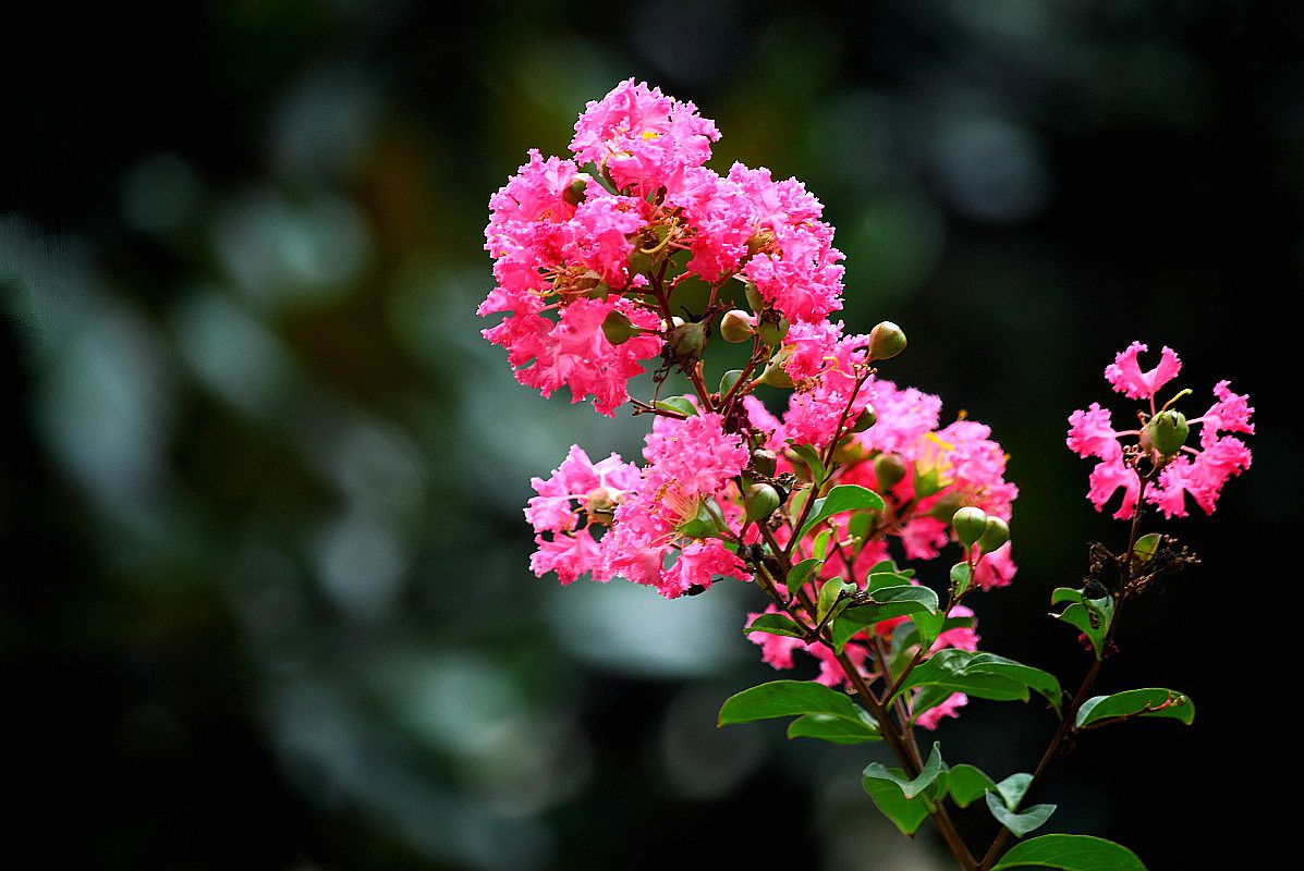 入秋杂拍    色彩纷繁的季节（一）