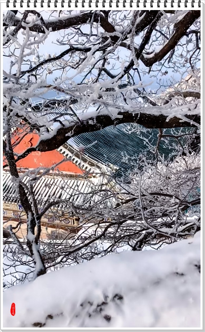 2023年-泰山顶风光抓拍-144