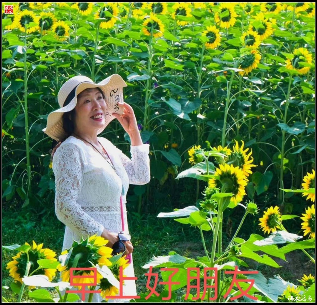 【每日一图，天天问候】3.人文——夏季篇