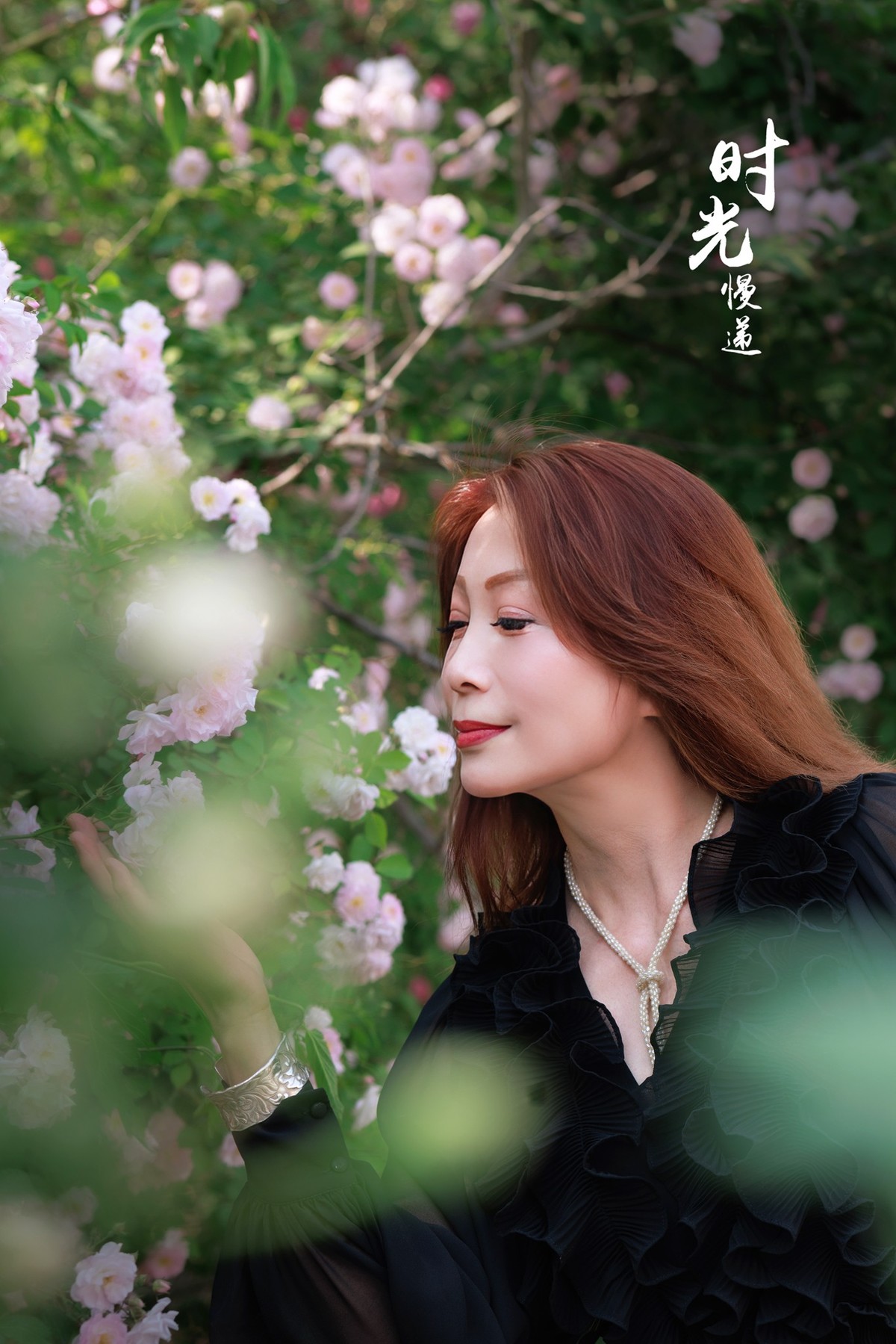 2023年5月8日奥森北园蔷薇花