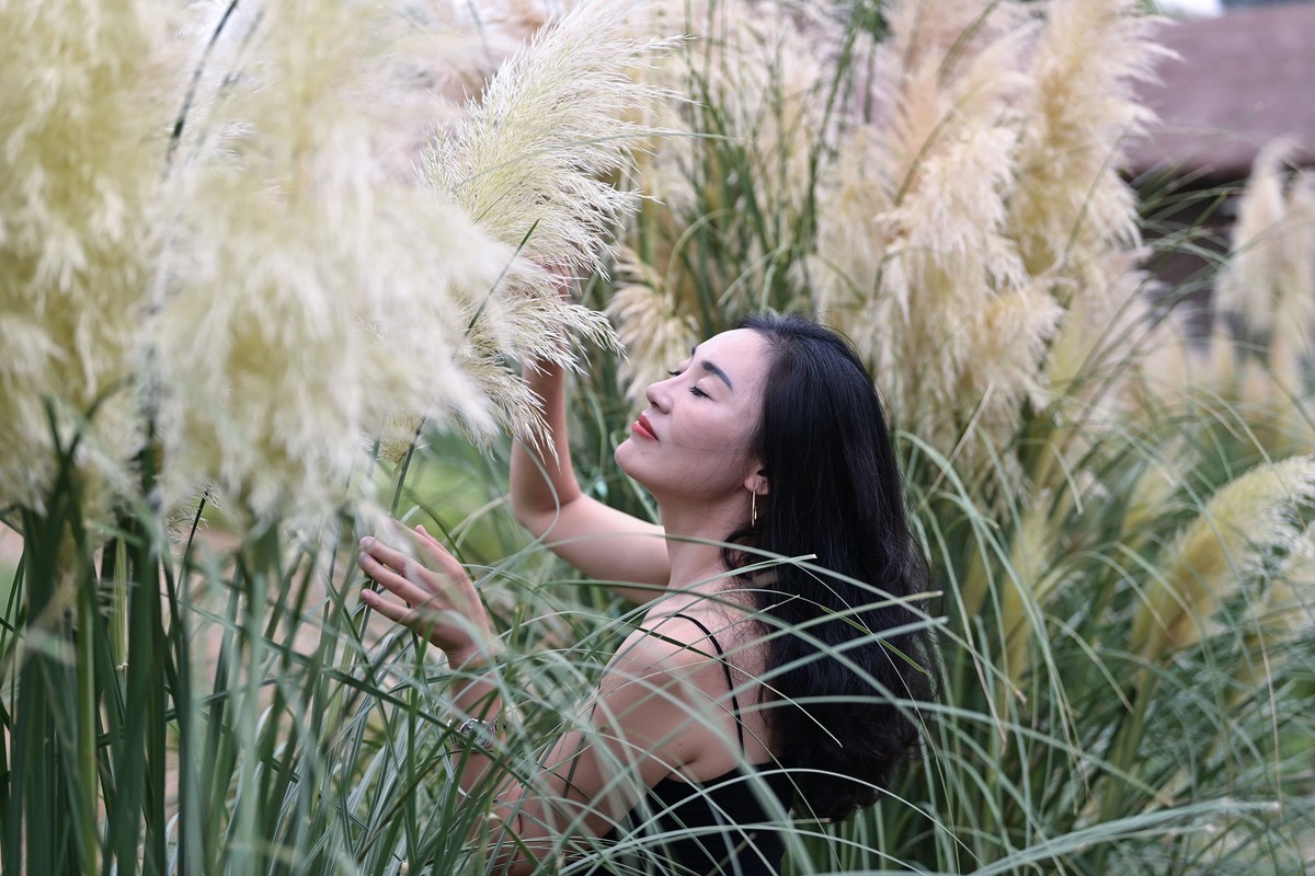 美女写真系列?
