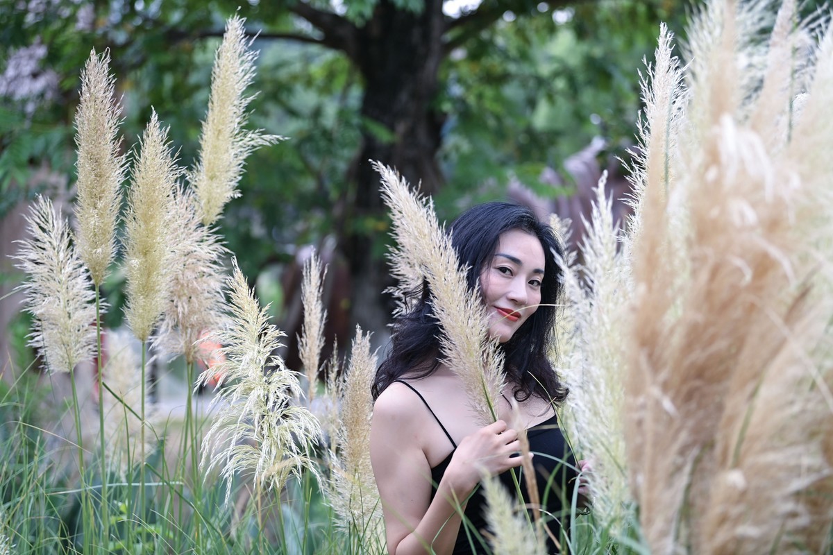 美女写真系列?