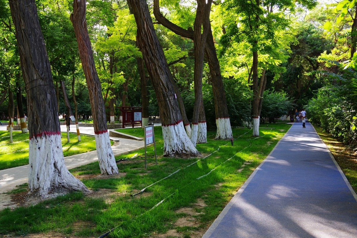 宾得K70套机还是很不错的！