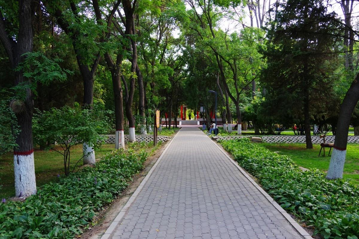 宾得的直出色彩确实很不错！