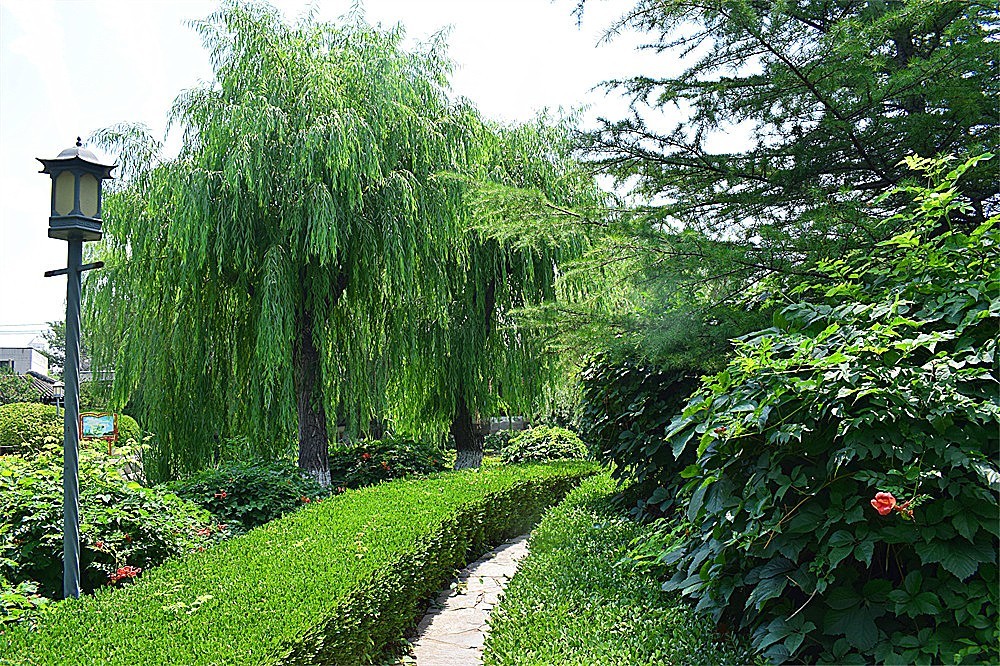 ——随拍·～～