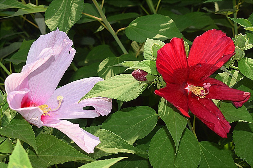 ——随拍·～～