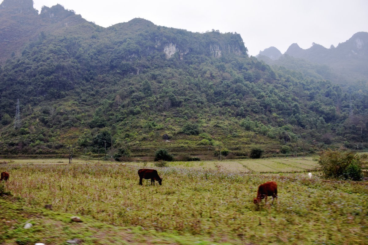 2024春节 滇桂沿边行（77）靖西山水不输桂林