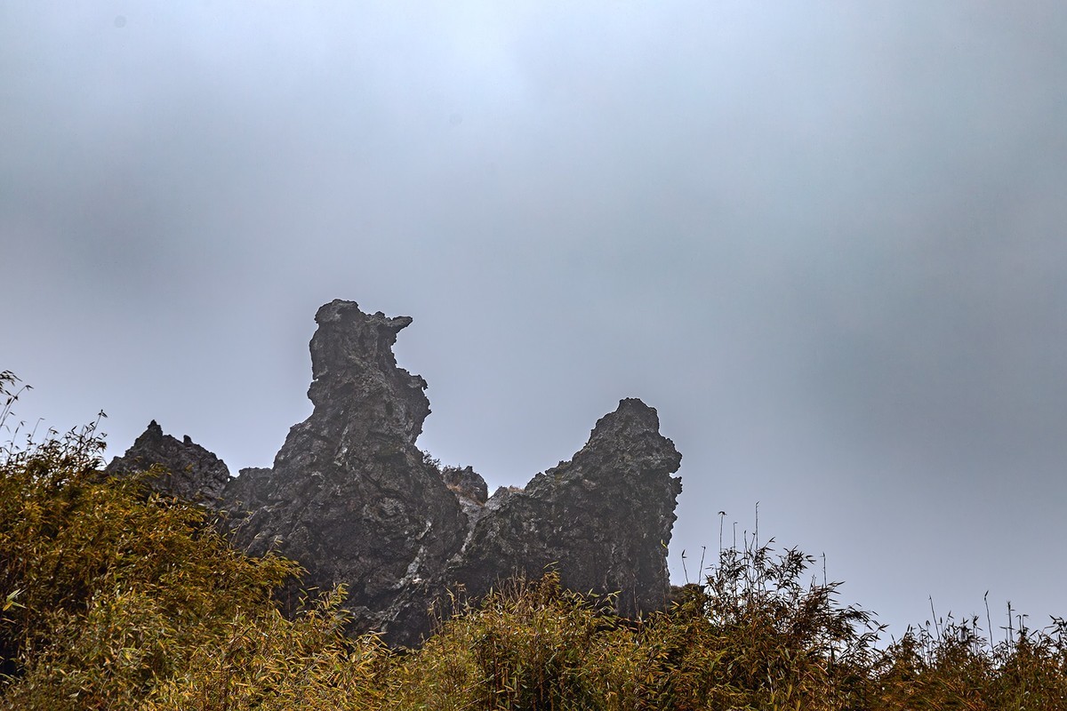 旅游记录 ：湖北 · 神农架 · 神龙顶