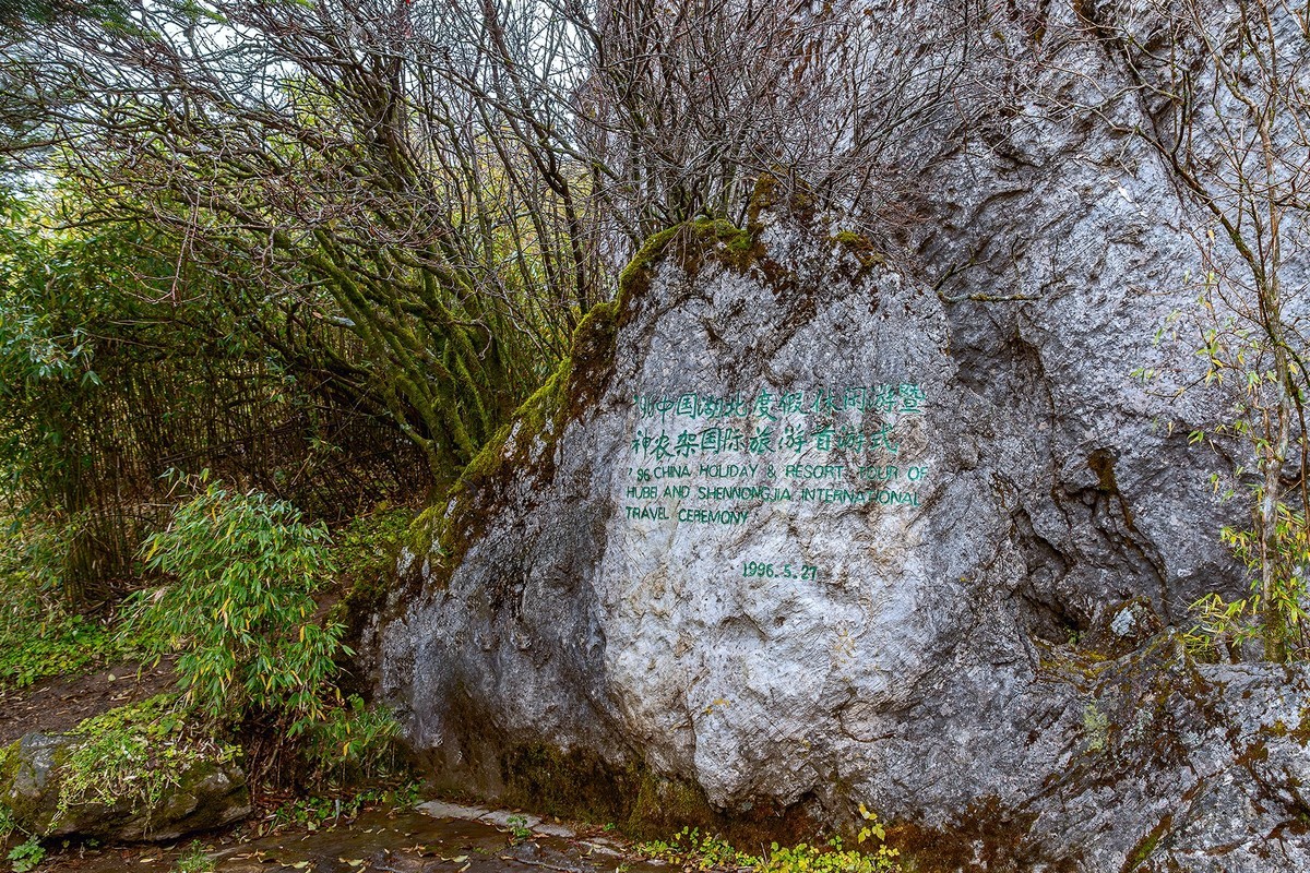 旅游记录 ：湖北 · 神农架 · 神龙顶