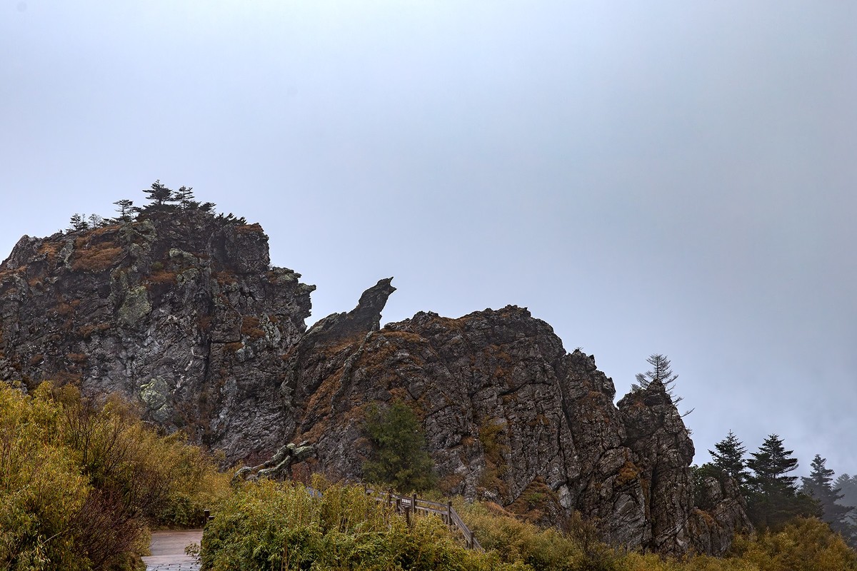 旅游记录 ：湖北 · 神农架 · 神龙顶