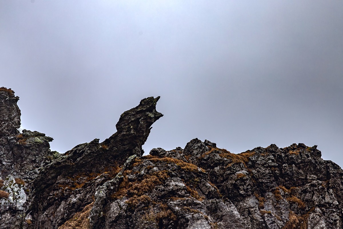 旅游记录 ：湖北 · 神农架 · 神龙顶