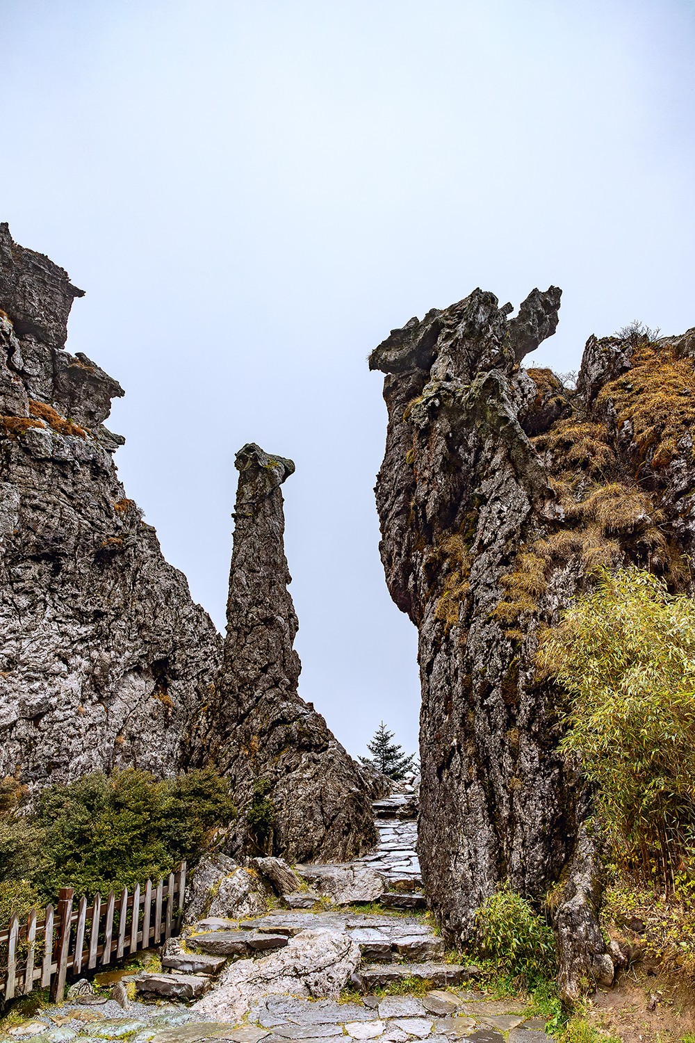 旅游记录 ：湖北 · 神农架 · 神龙顶
