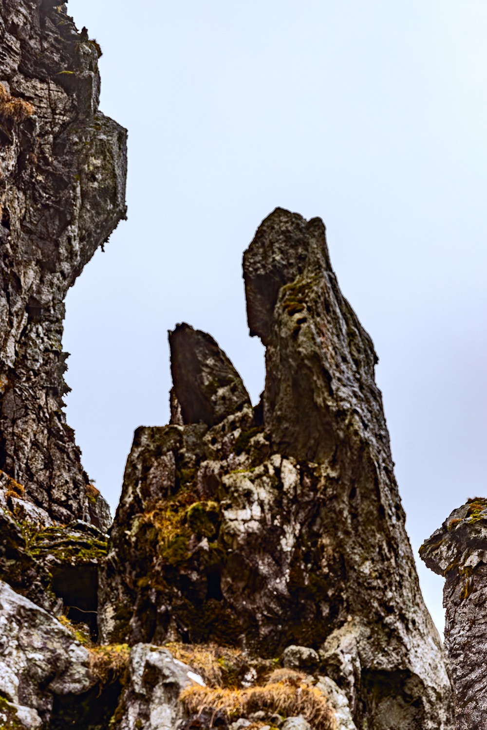 旅游记录 ：湖北 · 神农架 · 神龙顶