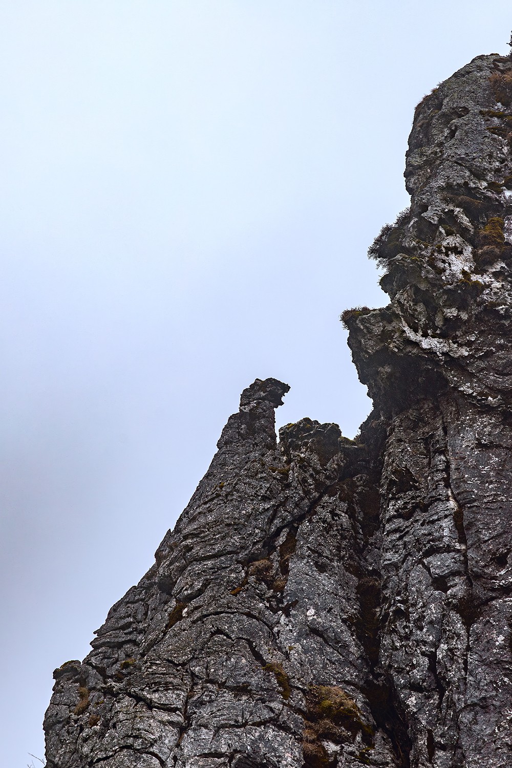 旅游记录 ：湖北 · 神农架 · 神龙顶