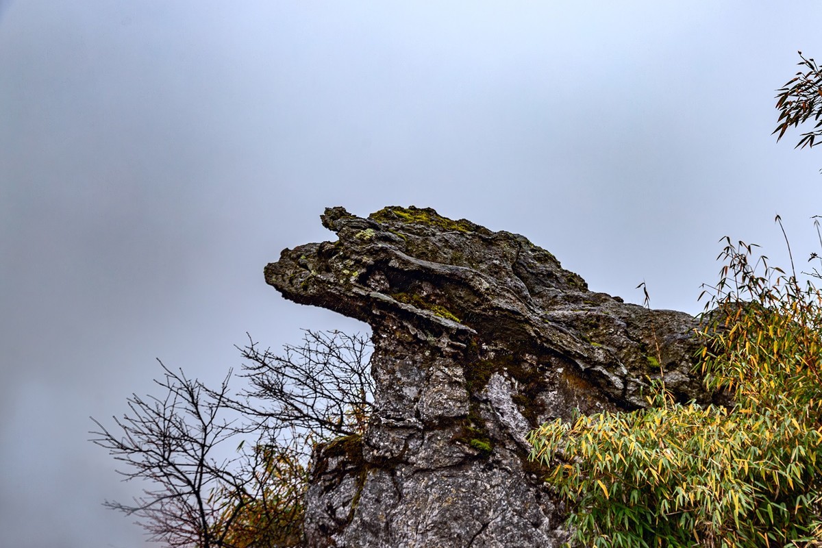 旅游记录 ：湖北 · 神农架 · 神龙顶