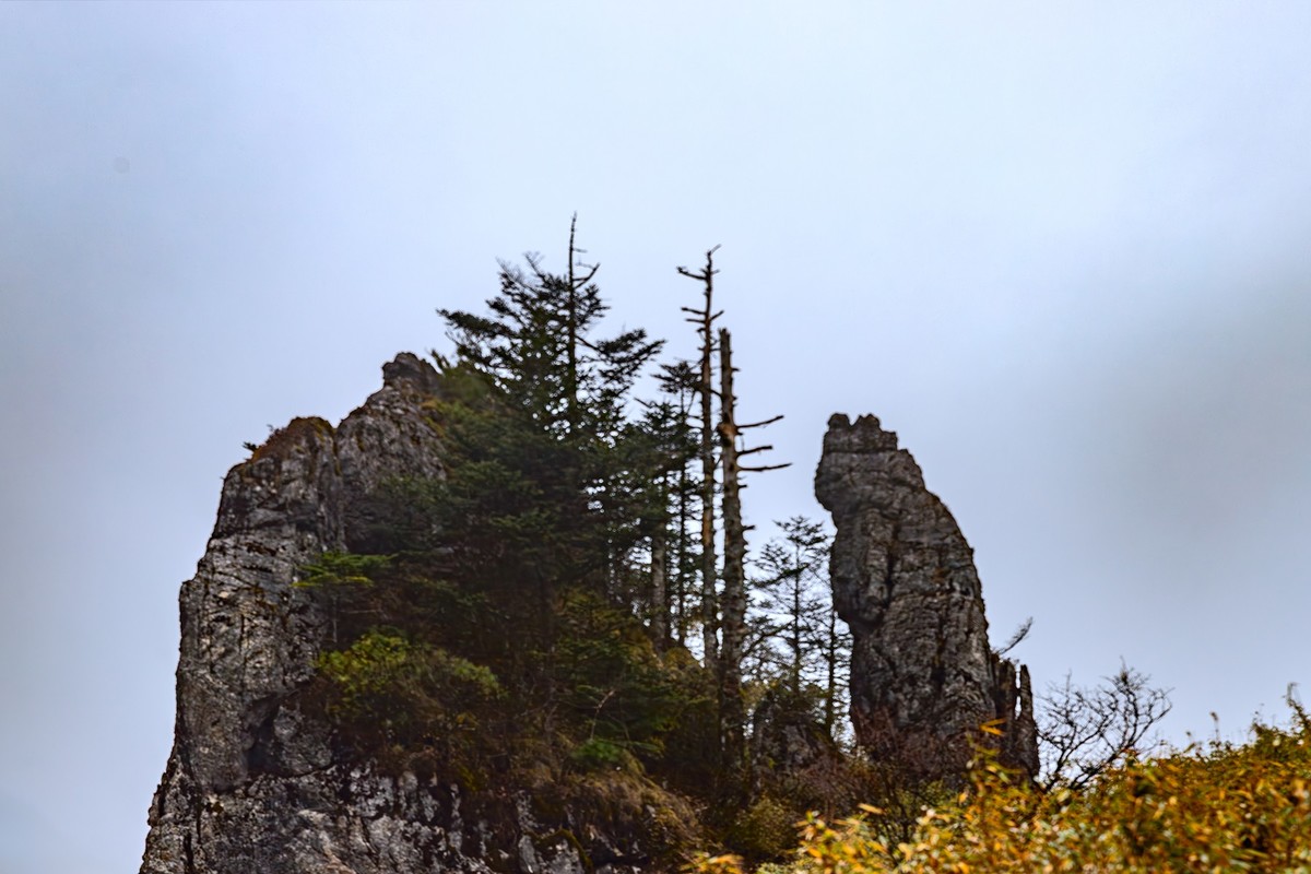 旅游记录 ：湖北 · 神农架 · 神龙顶
