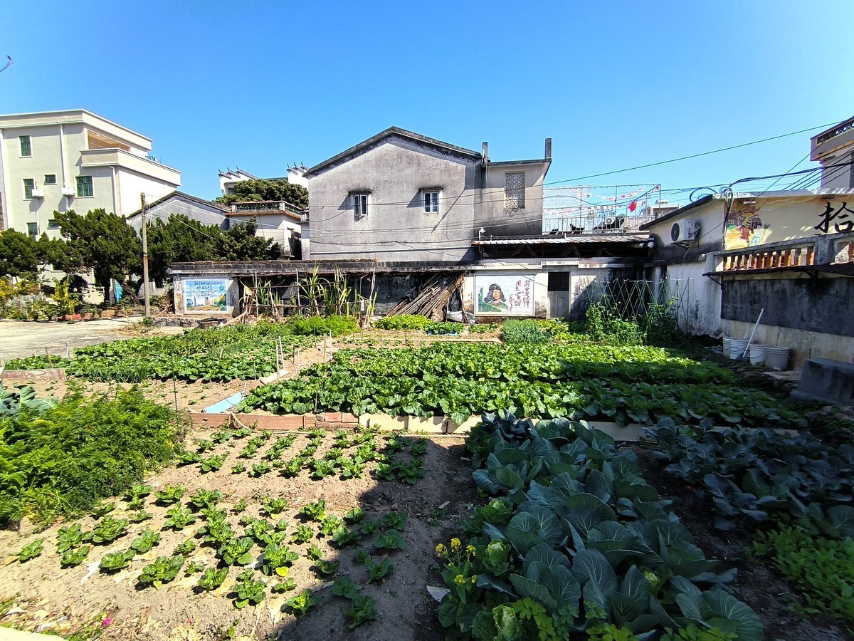 2025春节 广东行（87）岭南文化“活化石”