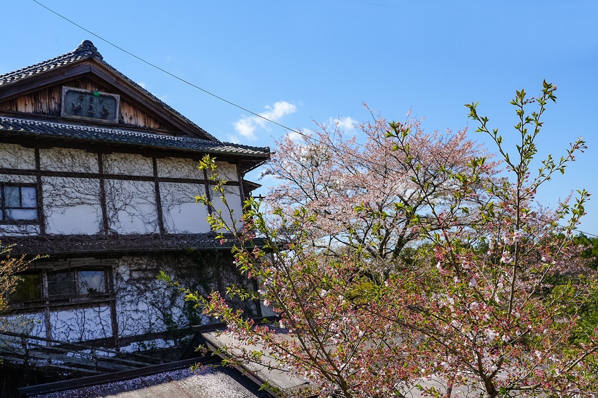 2025年第0277贴-奈良吉野山旅拍（0429）