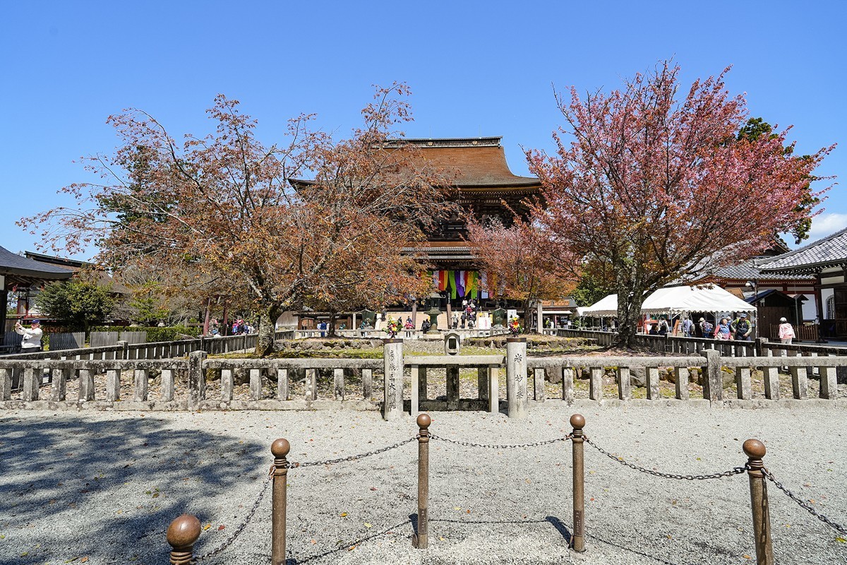 2025年第0277贴-奈良吉野山旅拍（0429）