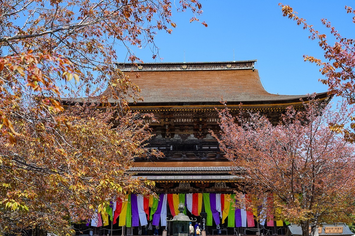 2025年第0277贴-奈良吉野山旅拍（0429）