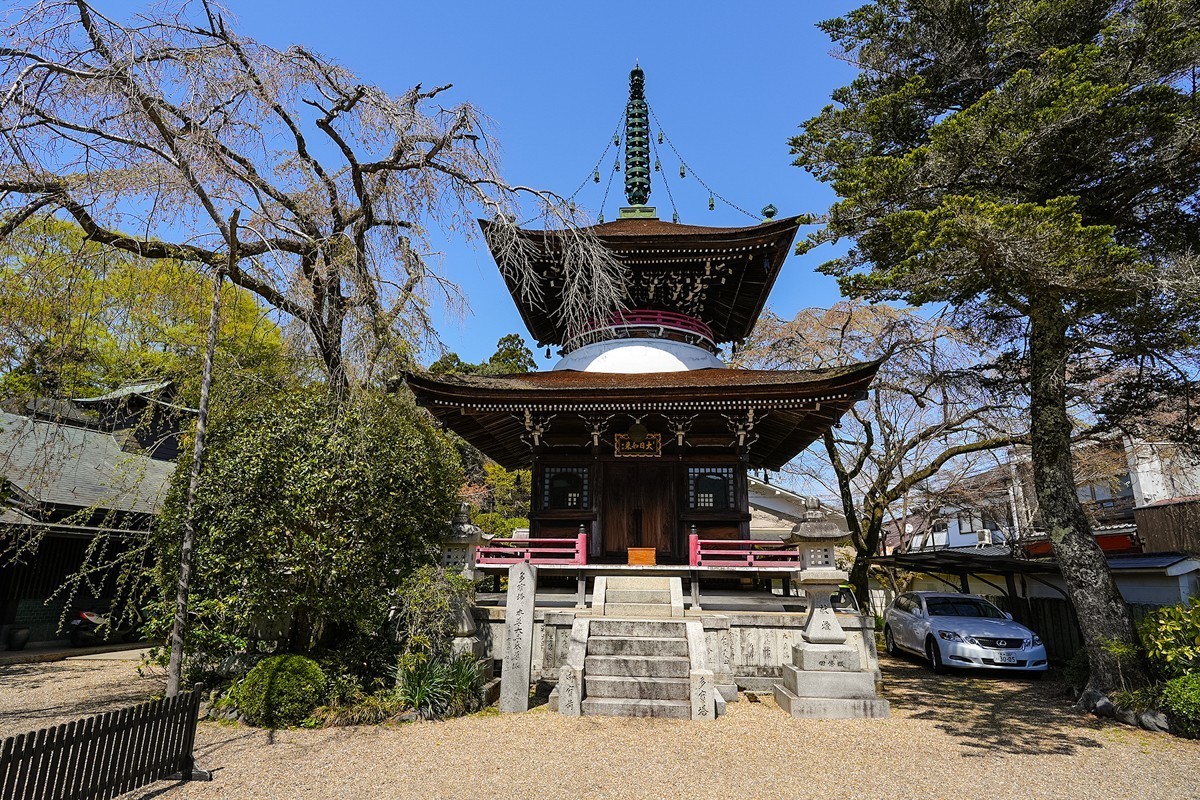 2025年第0277贴-奈良吉野山旅拍（0429）