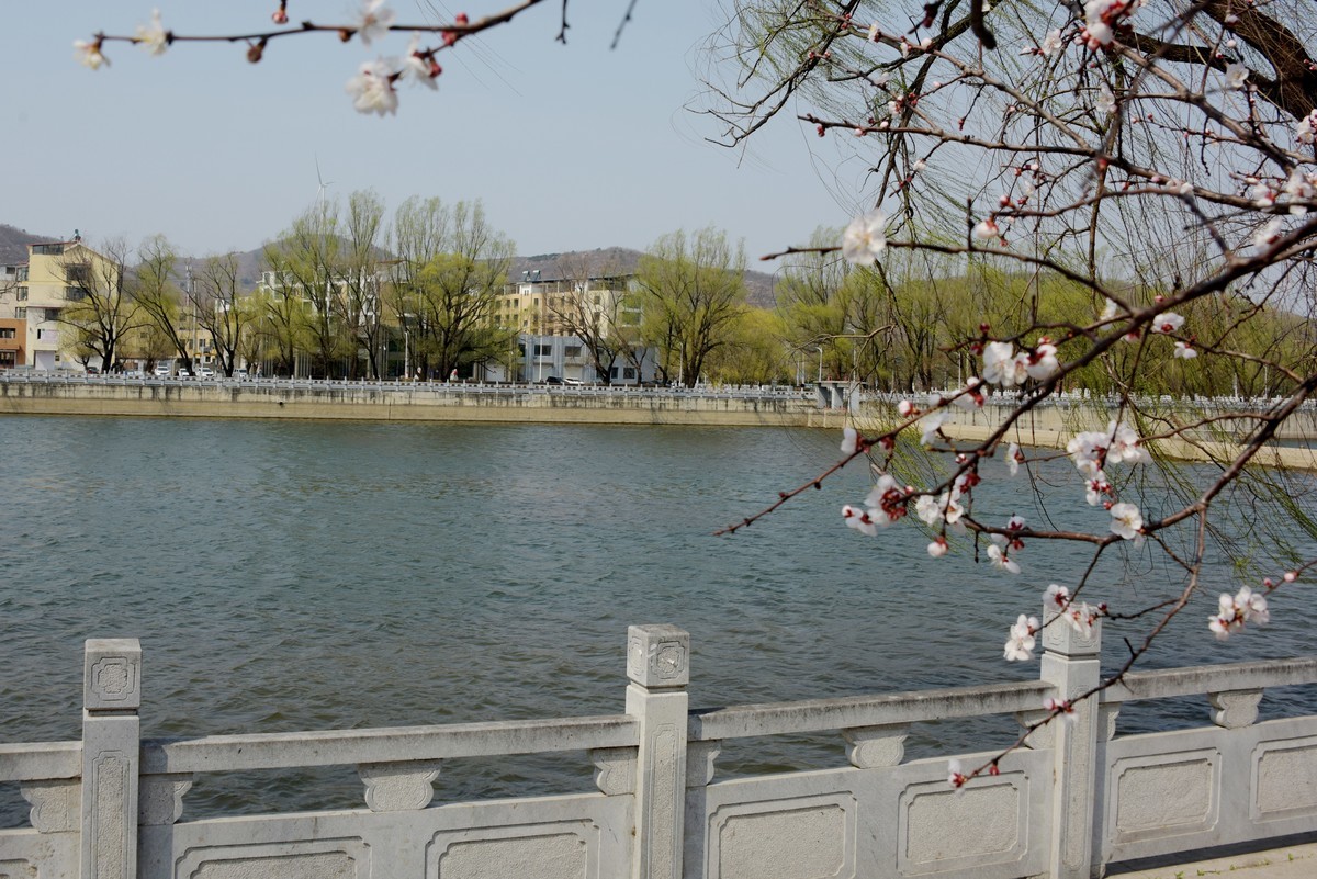 2025之春（十）－ 花红柳绿