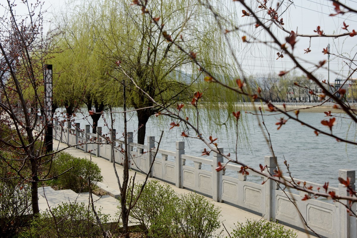 2025之春（十）－ 花红柳绿