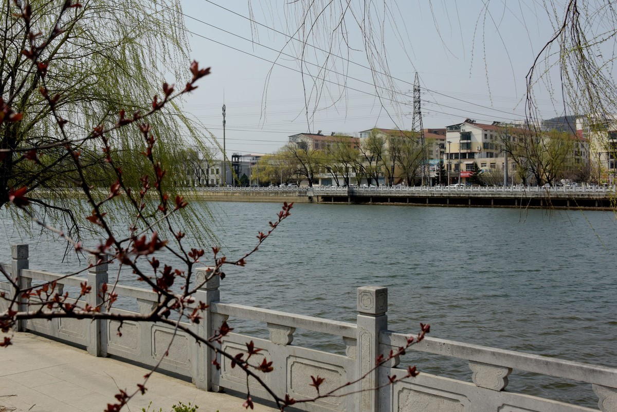 2025之春（十）－ 花红柳绿