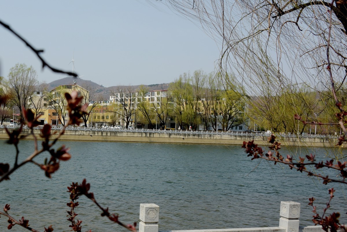 2025之春（十）－ 花红柳绿