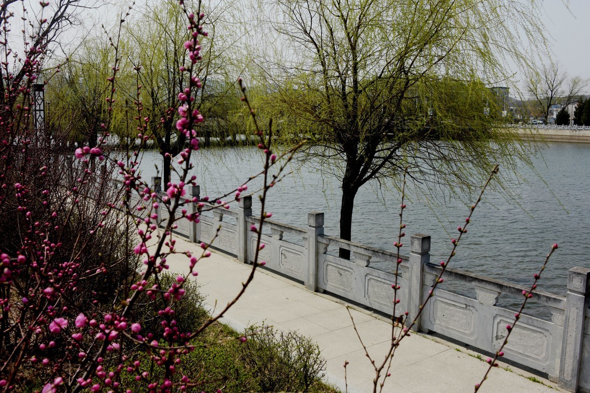 2025之春（十）－ 花红柳绿