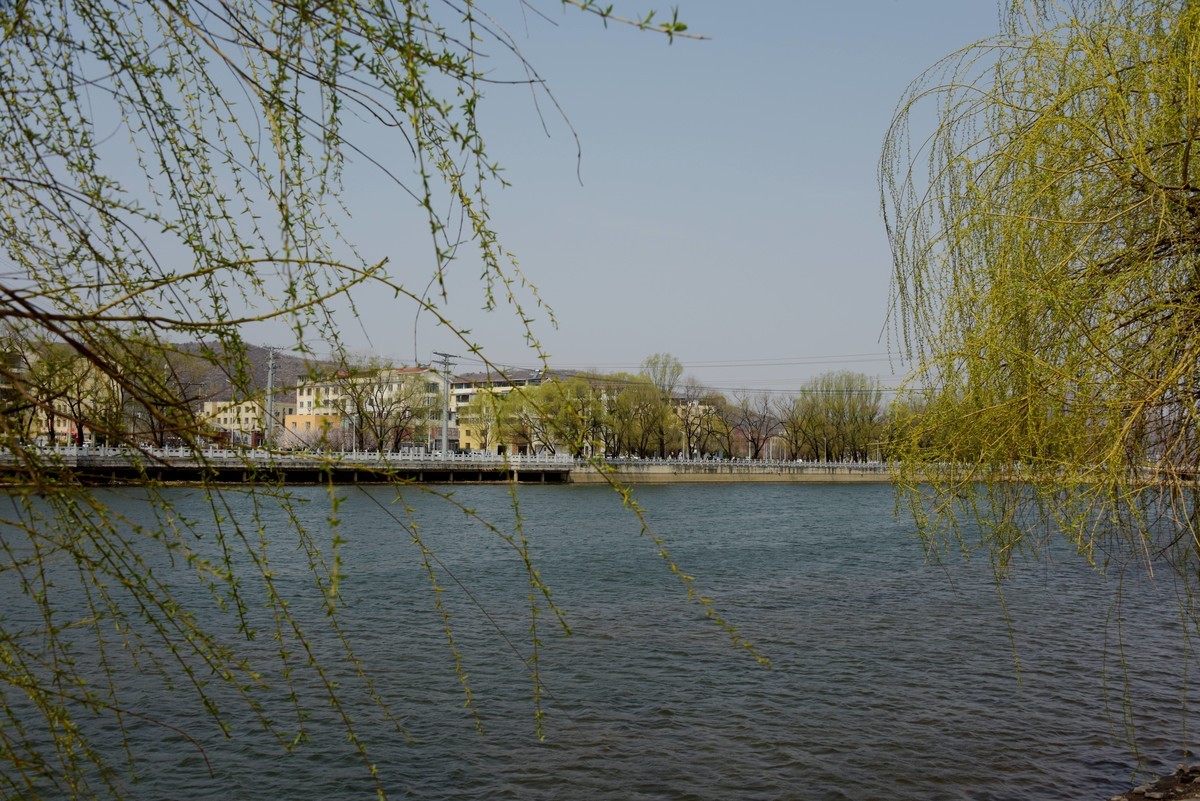 2025之春（十）－ 花红柳绿