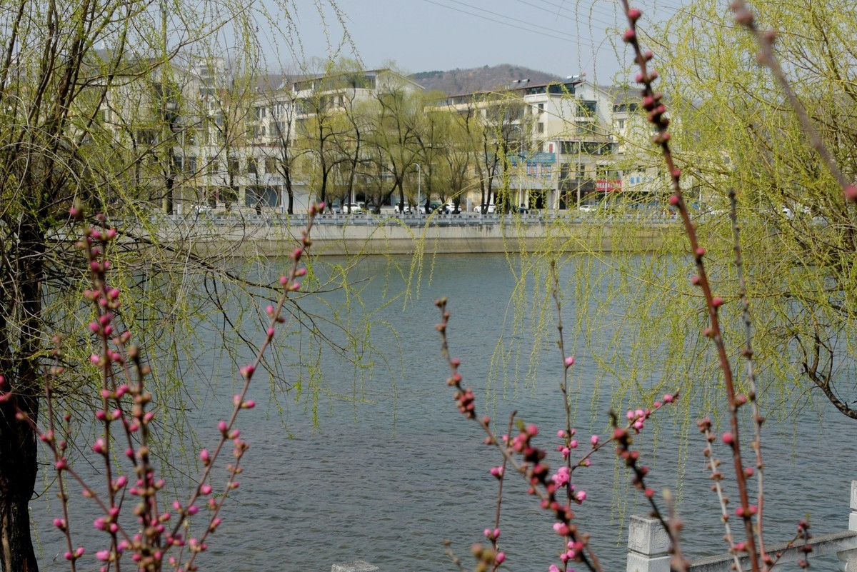 2025之春（十）－ 花红柳绿