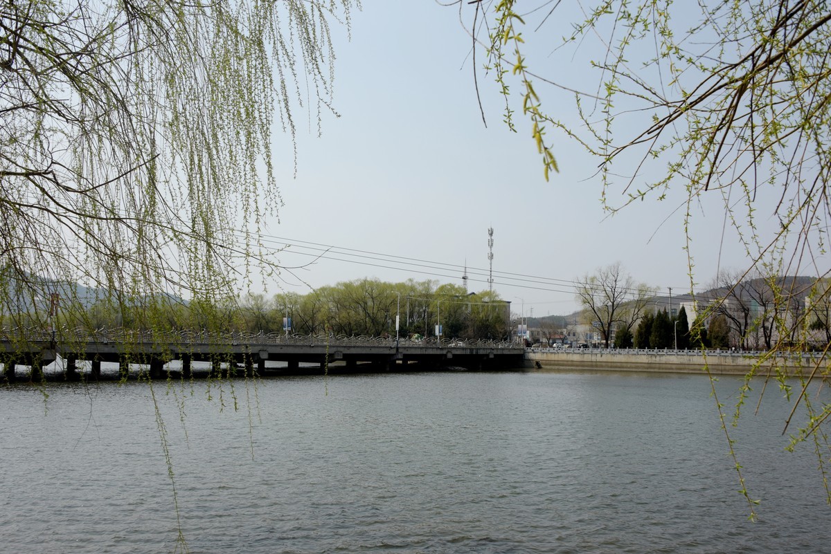 2025之春（十）－ 花红柳绿