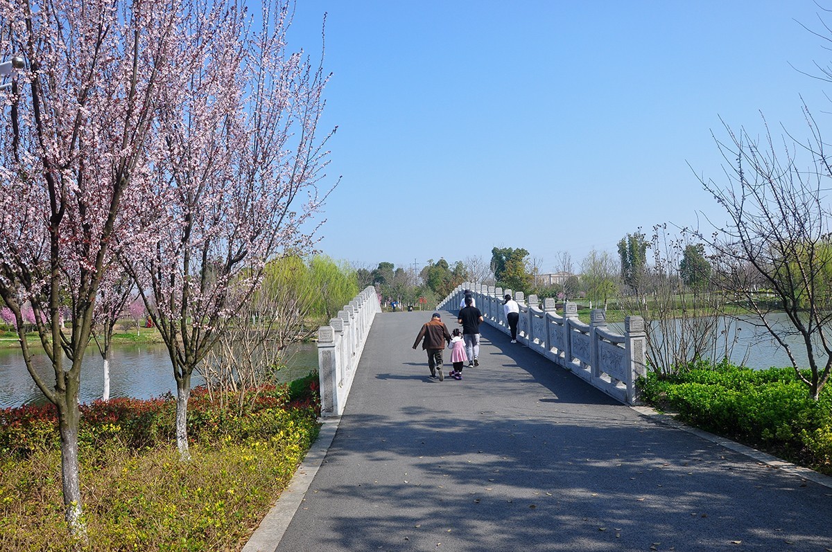 春上树梢头（续）