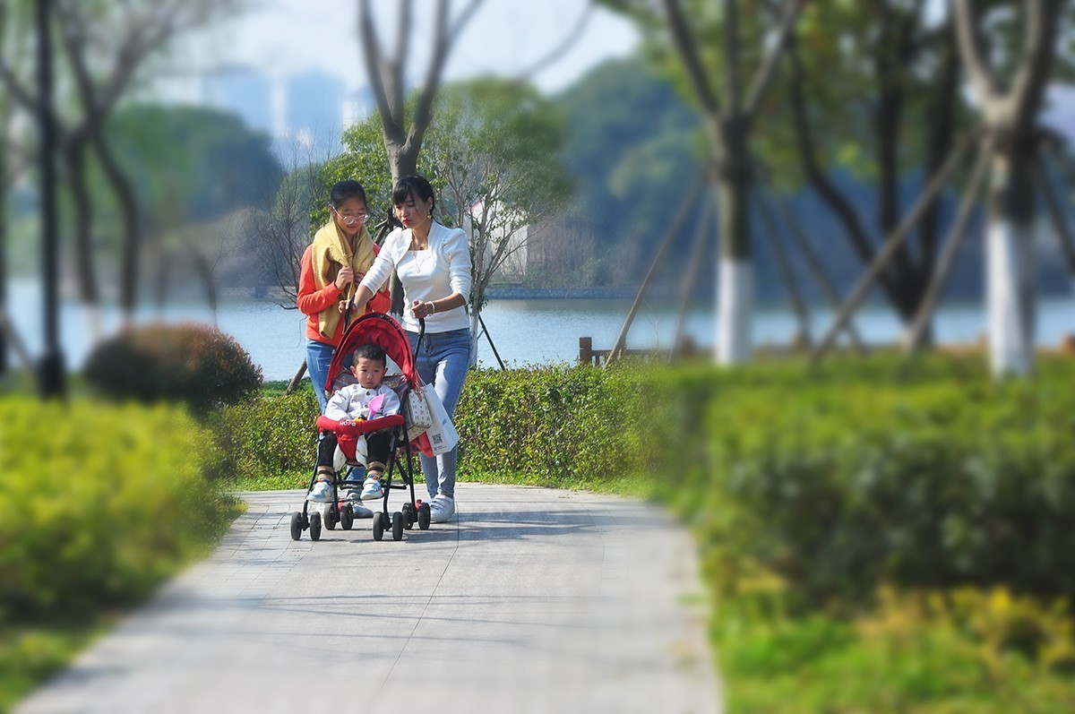 春上树梢头（续）