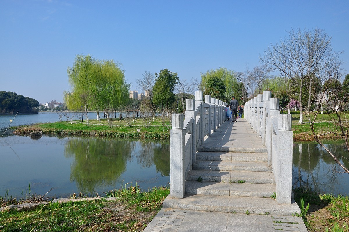 春上树梢头（续）